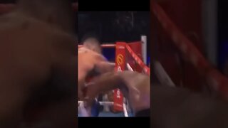 Crazy knockout!!!