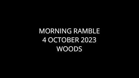 Morning Ramble - 20231004 - Woods