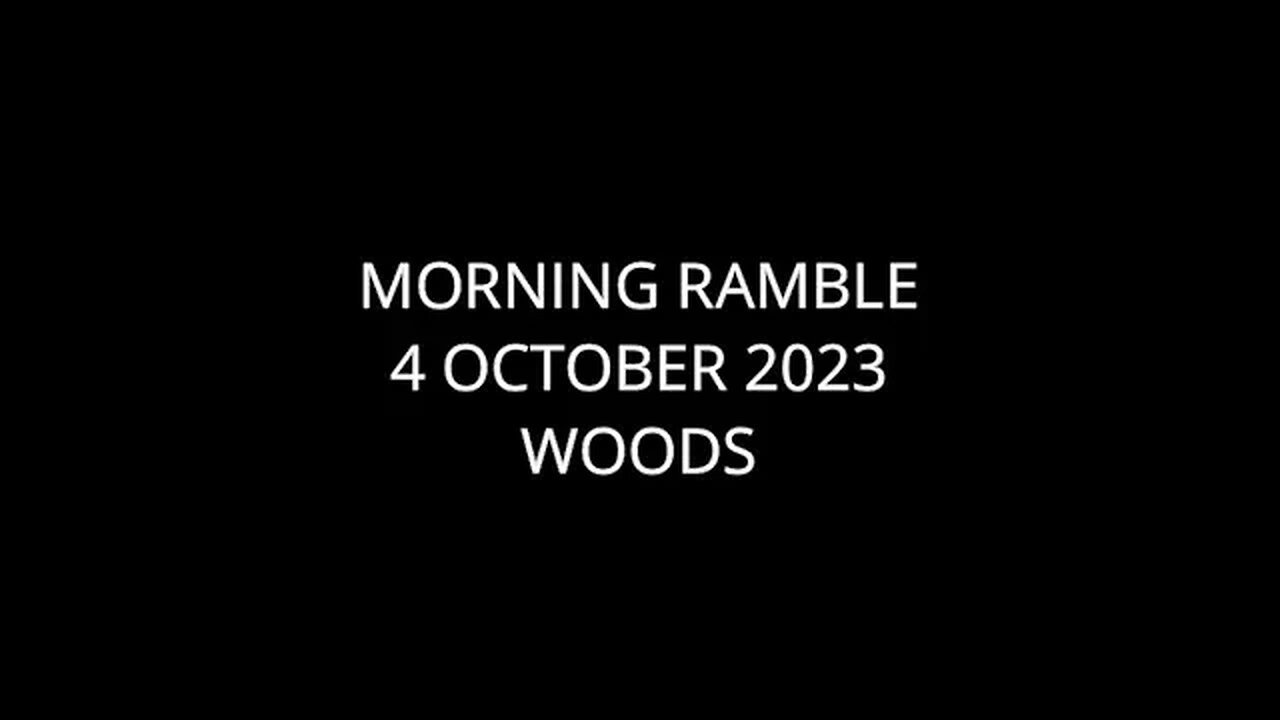 Morning Ramble - 20231004 - Woods