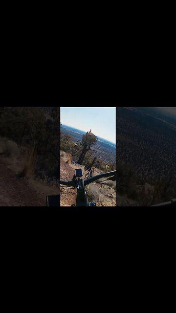 Rock Garden Riding #mtb #loamwolf #ytshorts