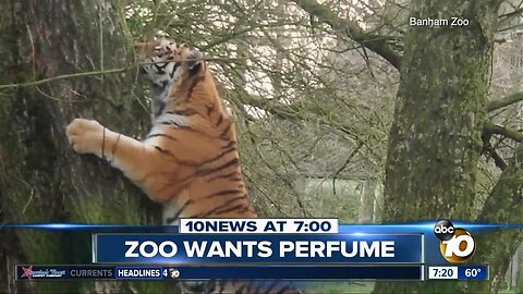 Zoo asking for unused perfume?