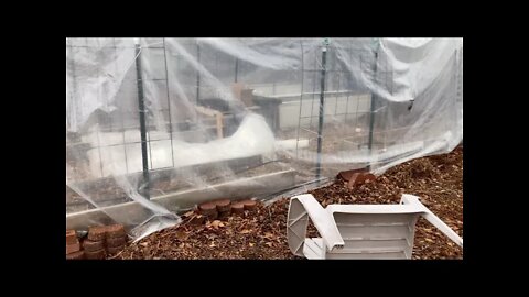 My Greenhouse Fail | In The Garden Again | #garden