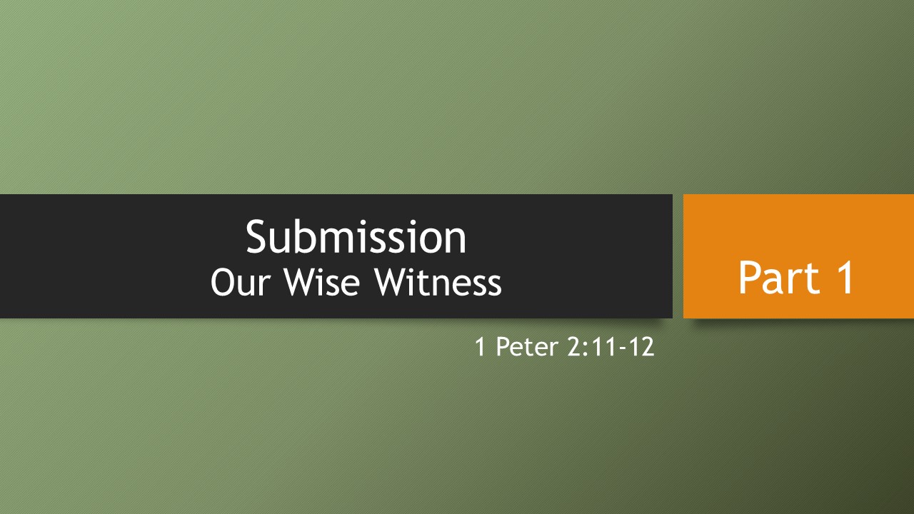 7@7 #44: Submission, Our Wise Witness (Part 1)