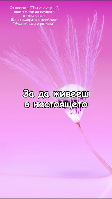 За да живееш в настоящето... От "Път със сърце", 🎧 която може да слушате в този канал ☀️