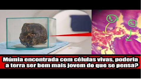 Múmia encontrada com células vivas, poderia a terra ser bem mais jovem do que se pensa?