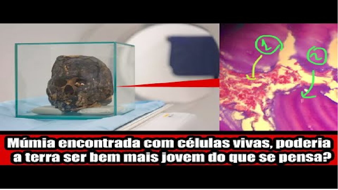 Múmia encontrada com células vivas, poderia a terra ser bem mais jovem do que se pensa?