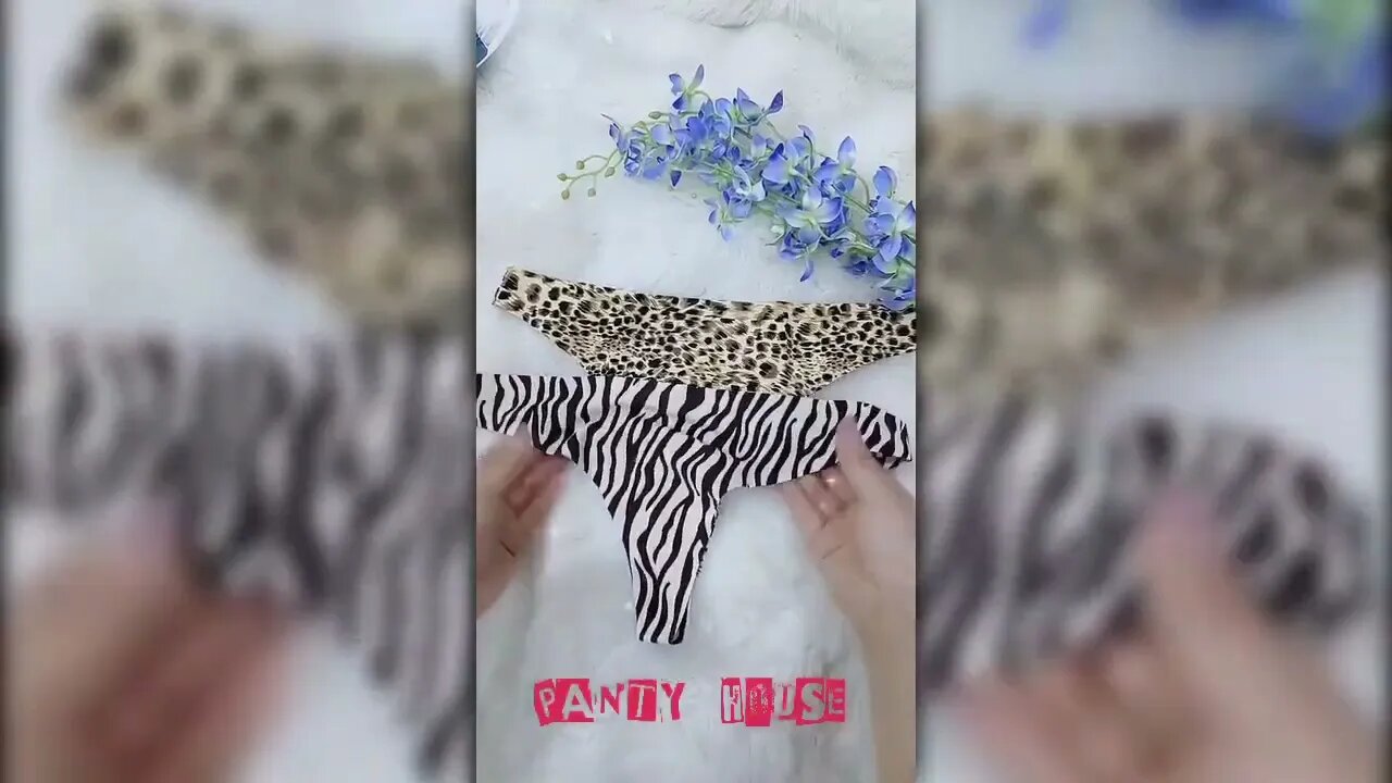 Women Bikini Transparent Panty 👙| Cute Lacy Panty 👙| Panty Collection 👙 Part - 17 | Panty House 👙