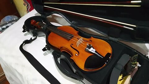 a quick look at my violin case... (58 seconds)