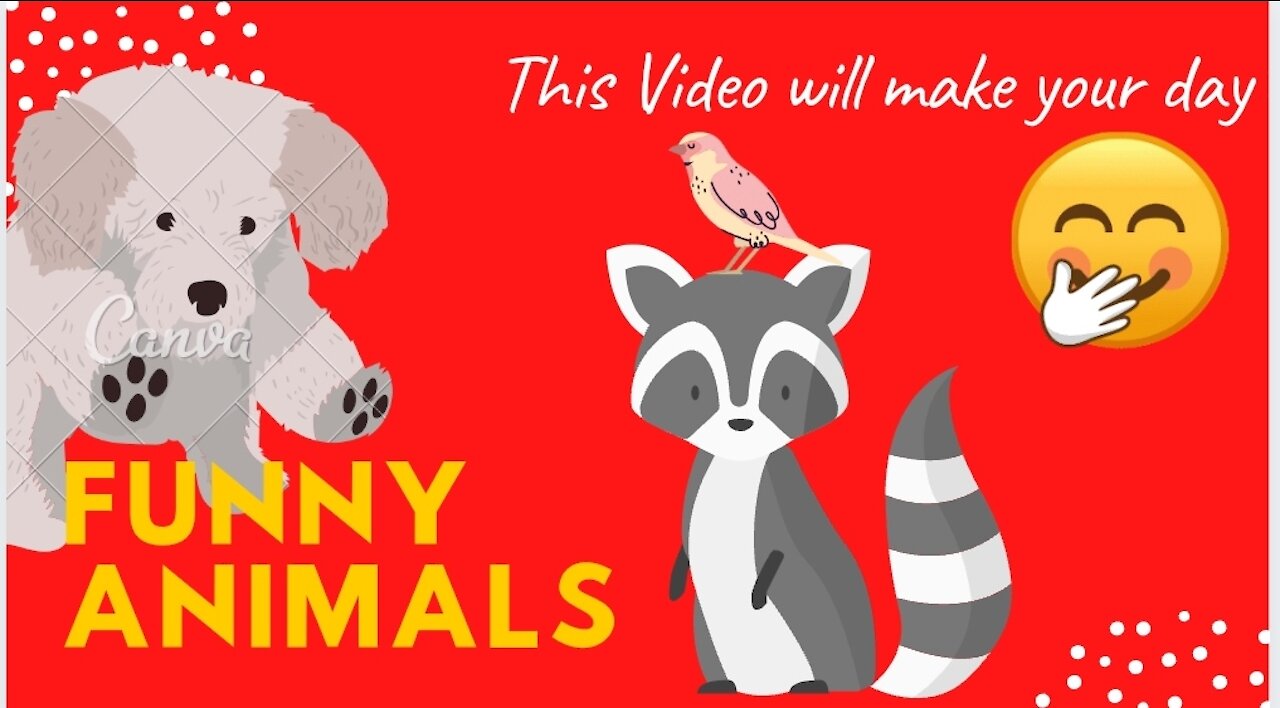 Funny Dogs and cats amazing moments of animals