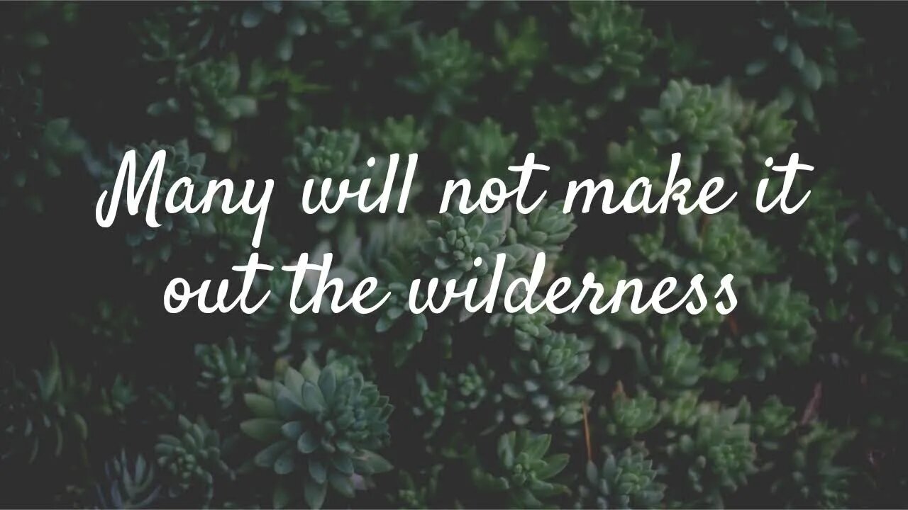 This second phrase many willing seek His face, but He will not answer! Repentance 2022! ⚠️⚠️⚠️⚠️⚠️