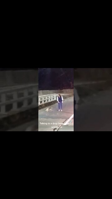 BASED BEAR Vs. Karen