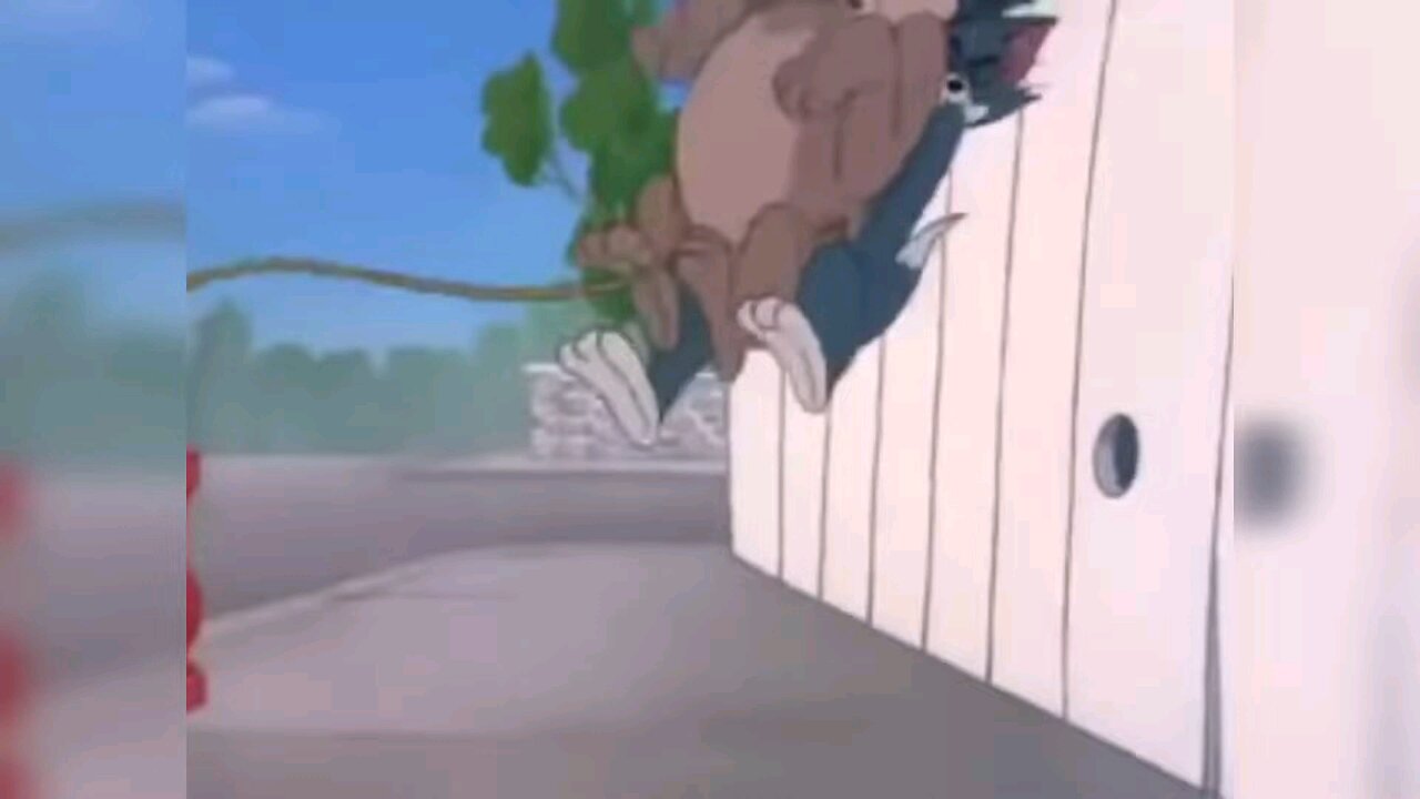 Tom and Jerry classic 1