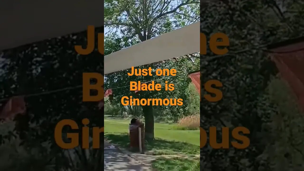 The SIZE is Astounding
