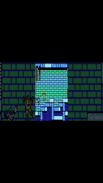 Megaman 2 Flashman Nes Short