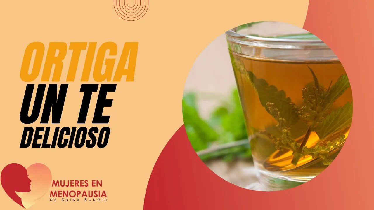 Té de Ortiga | Mujeres en Menopausia