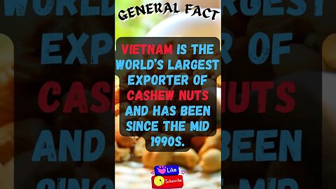 🤯Interesting Facts! 👀 #shorts #shortsfact #facts #generalfacts #generalknowledge #cashewnut #veitnam