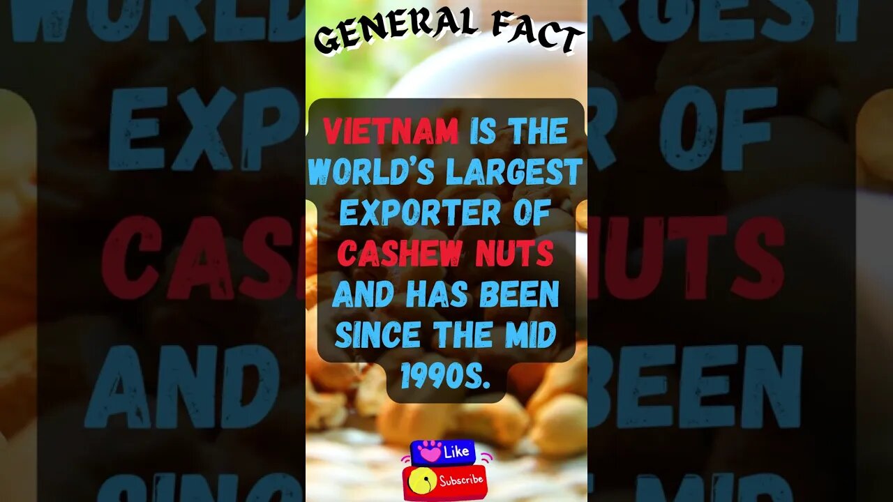 🤯Interesting Facts! 👀 #shorts #shortsfact #facts #generalfacts #generalknowledge #cashewnut #veitnam