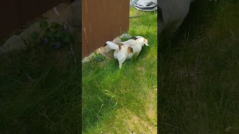 Something On My Nose... 😂