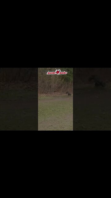 Tumble wumbles @basherbodies7285