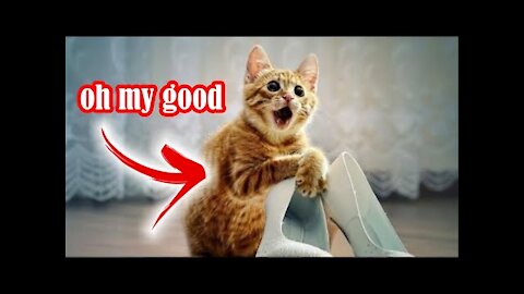 Cat drive
