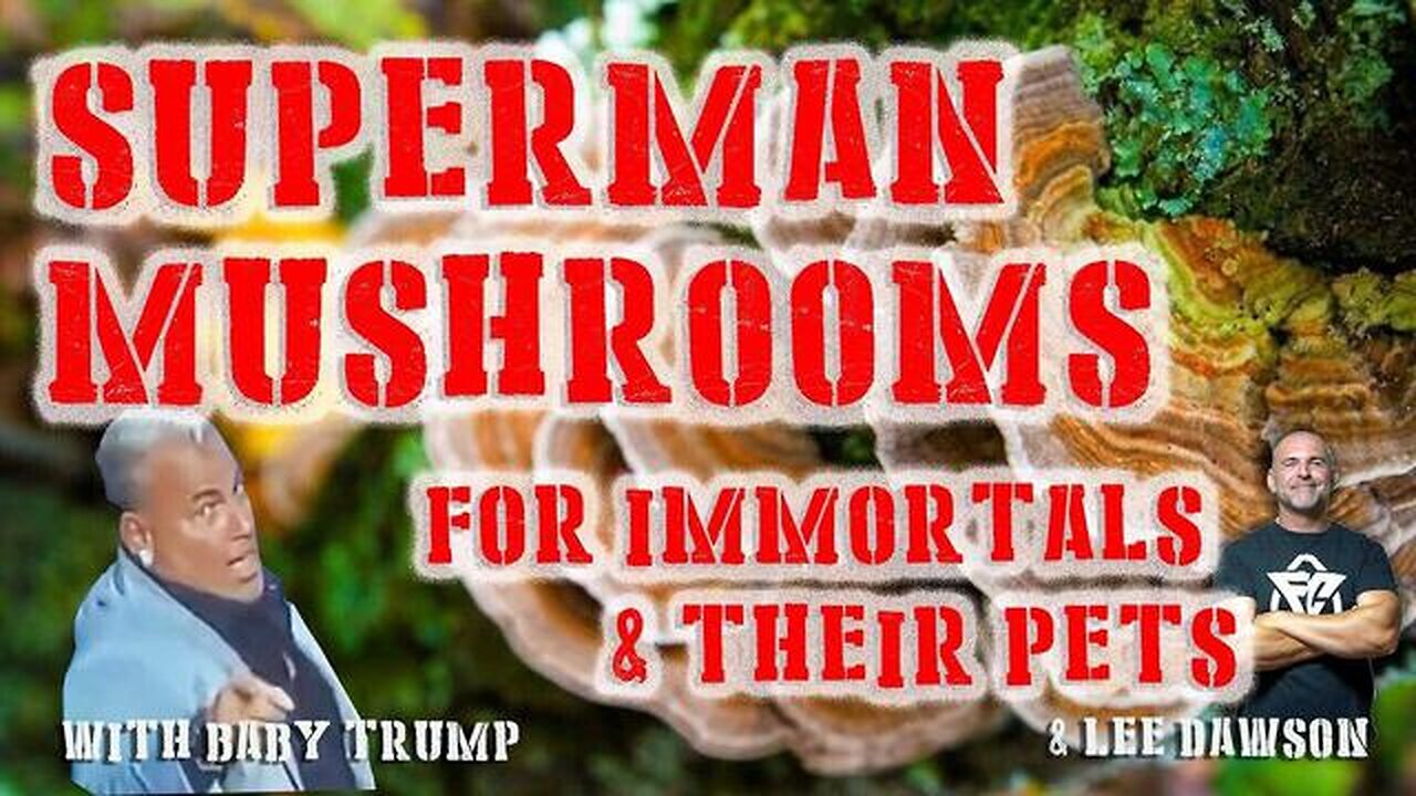 SUPERMAN MUSHROOMS. FOR IMMORTALS & THEIR PETS. WITH BABY TRUMP & LEE DAWSON