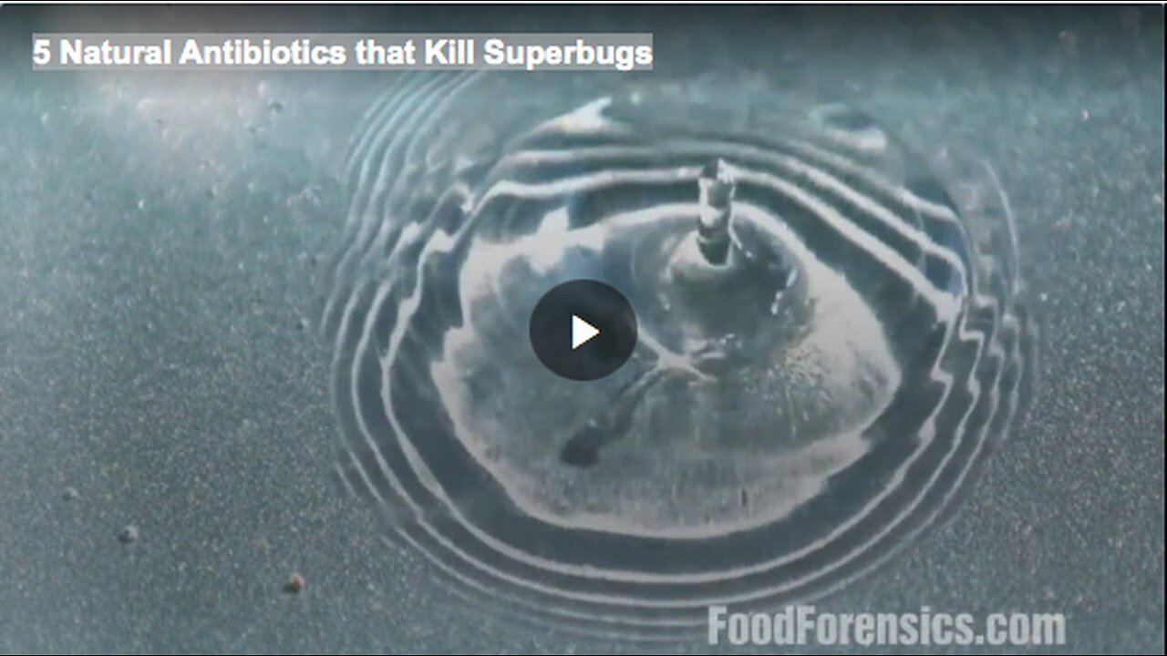 5 Natural Antibiotics that Kill Superbugs