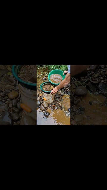 Guess the Prospector!