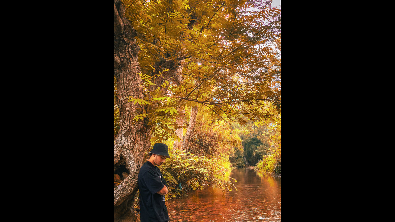 Peaceful Moment