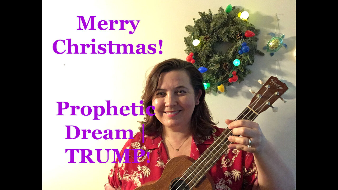 Merry Christmas! | Dream - Trump!