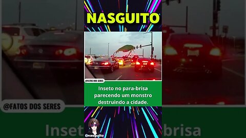 Memes em imagens - ELIMINADO DA ILHA #shorts