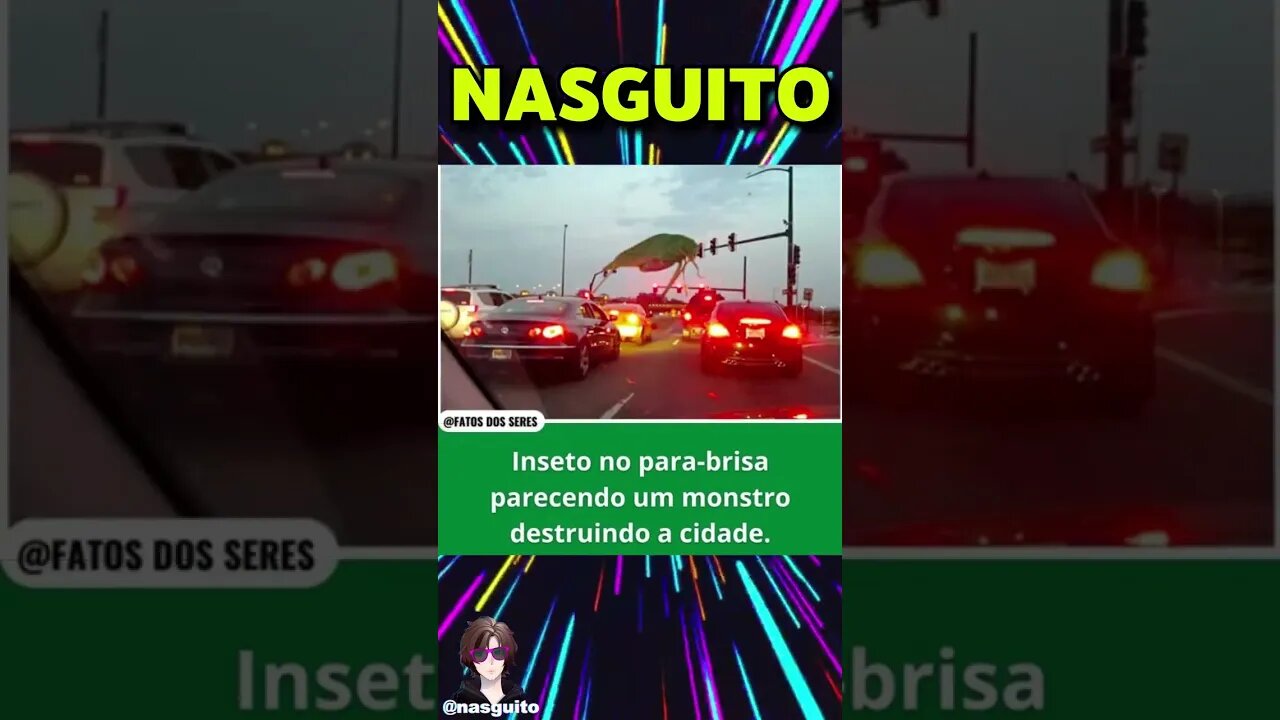 Memes em imagens - ELIMINADO DA ILHA #shorts