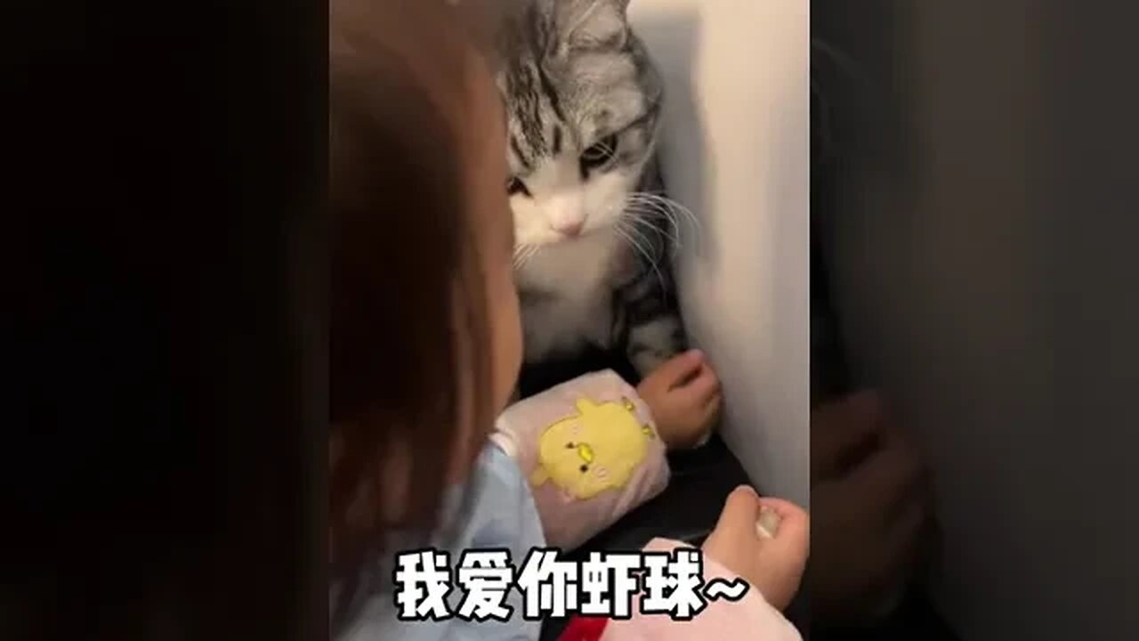 Give you see, a good is a cat is how children pua as such