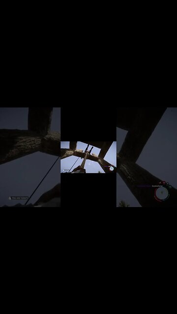 At The Top Of The Rope - Sons Of The Forest #shorts