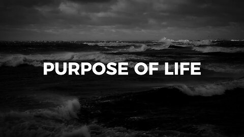 PURPOSE OF LIFE - Andrew Tate Motivation