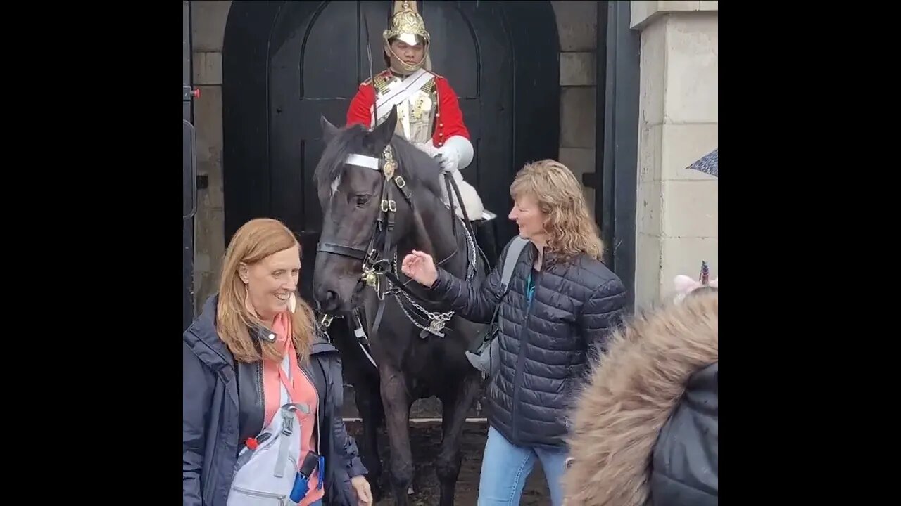 The both got away with it #horseguardsparade