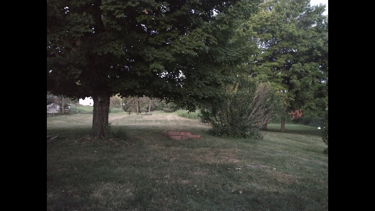 July 21 The way of praise