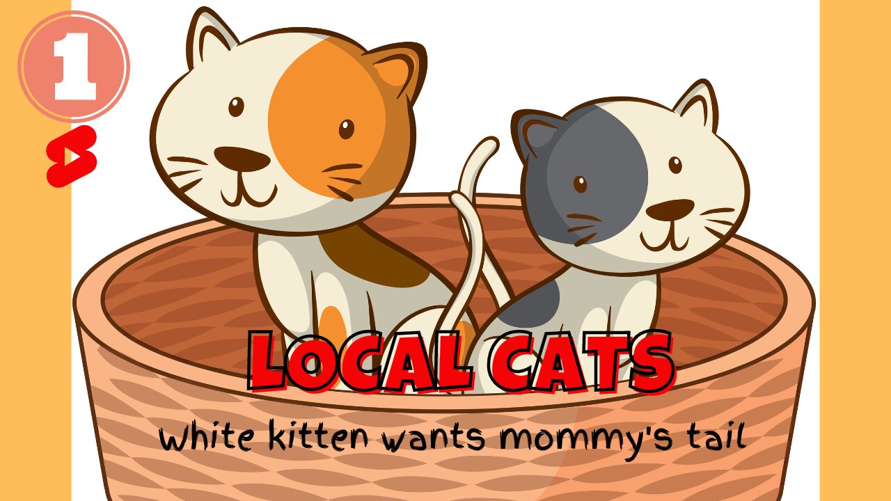 LOCAL CATS - White Kitten Wants Mommy's Tail