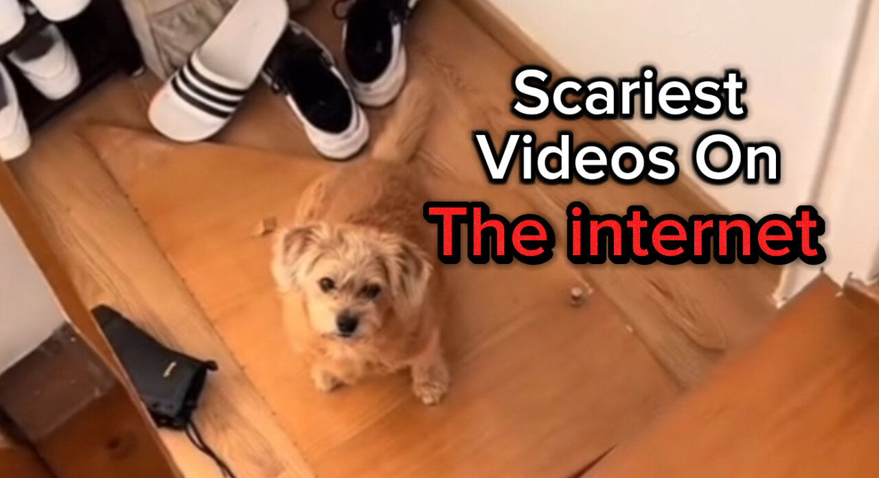 Real Scary Videos That Will Leave You Shocked