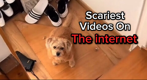 Real Scary Videos That Will Leave You Shocked