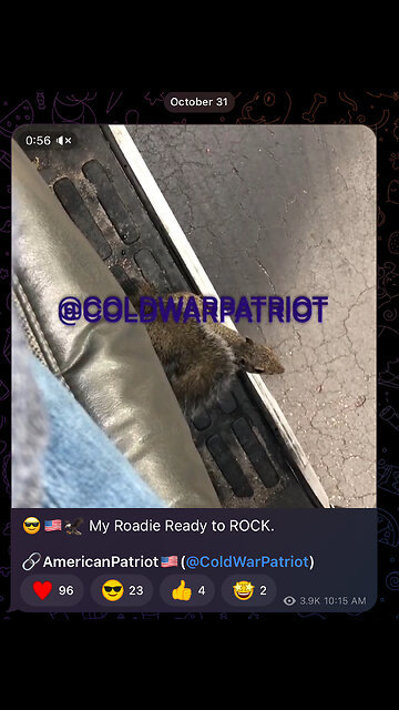 😎🇺🇸🦅 My Roadie Ready to ROCK.