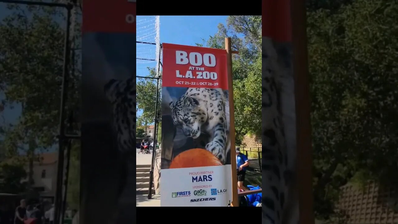 Boo at the L.A. Zoo! Trick or Treat its Halloween 🎃 Time 2023