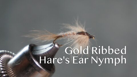 Gold Ribbed Hare’s Ear Nymph