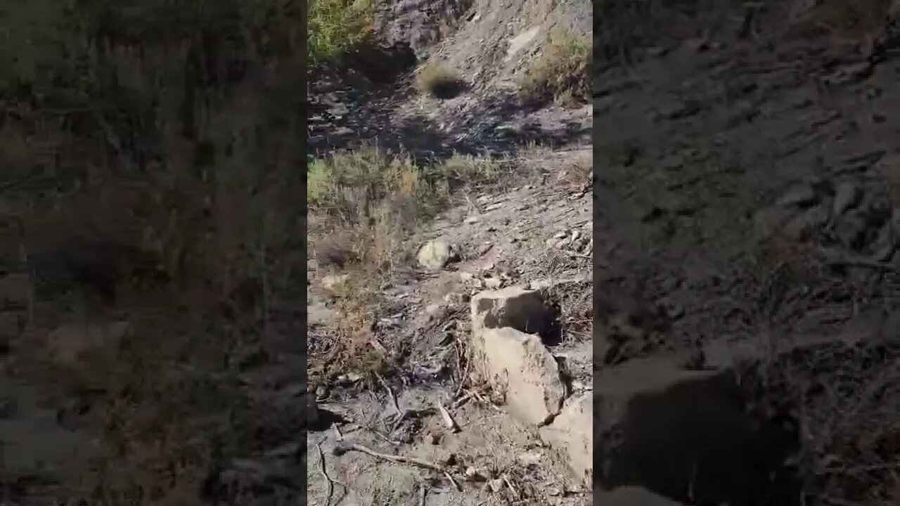 Mysterious tunnel under Skyline Drive in Canon City, Colorado revealed PT 1.