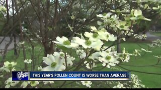 This year's pollen count is worse than average