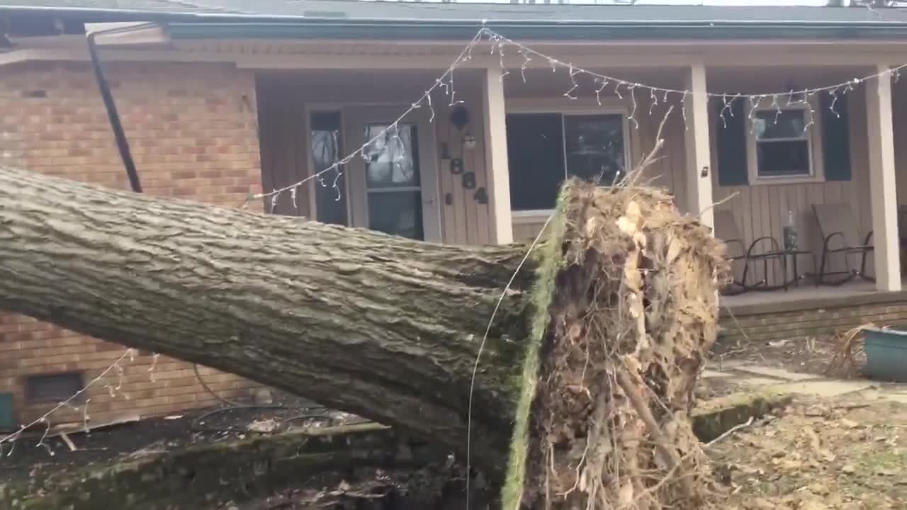 Family inside home when giant tree fell, crushed Akron home