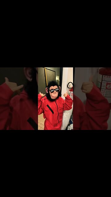 #vidademúsico #festadecasamento #show #bastidores #cantor #banda #casamento #jotaquest #pop #shorts