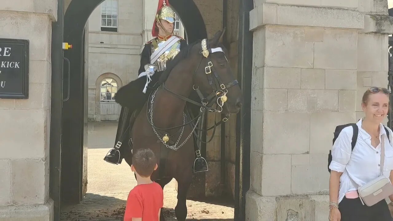 Vocal horse makes the kid laugh #horseguardsparade