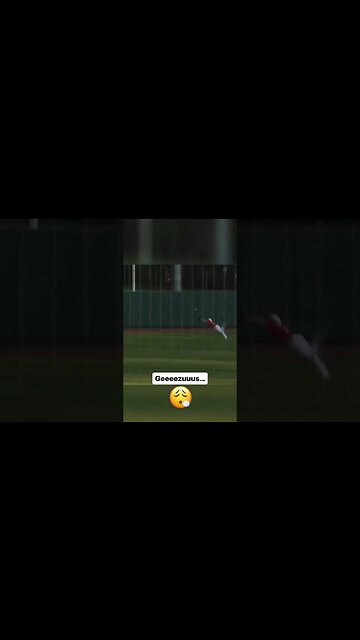 What an amazing catch! #baseball