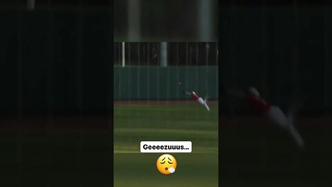 What an amazing catch! #baseball