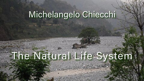 Michelangelo Chieechi & The Natural Life System Part 1